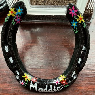 Painted Horseshoe £5