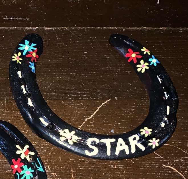 Painted Horseshoe2 £5 Painted Horseshoe2 £5